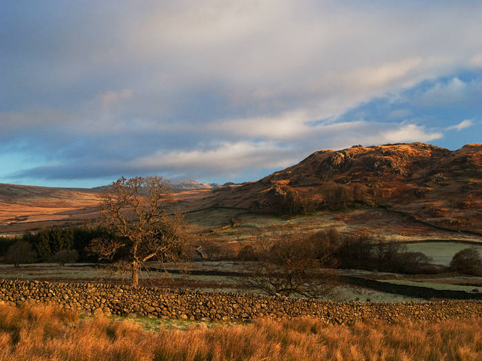 Birker Fell In Autumn © Nick Thorne