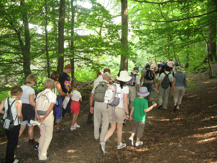 Family Stroll © Helen Reynolds