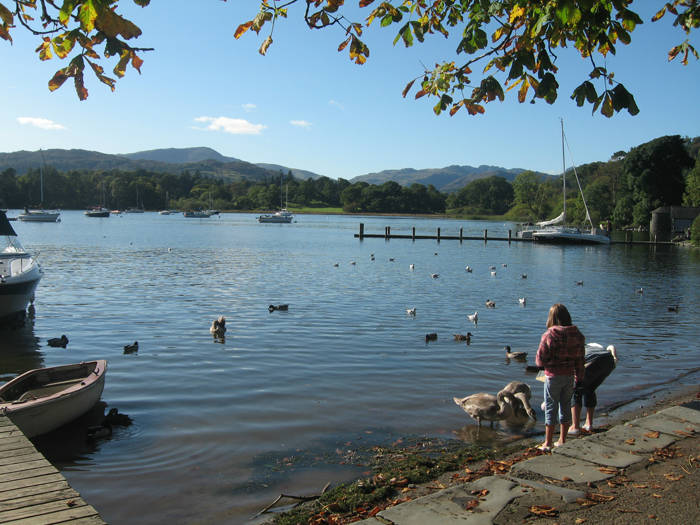 Feeding Swans At Waterhead © Helen Reynolds